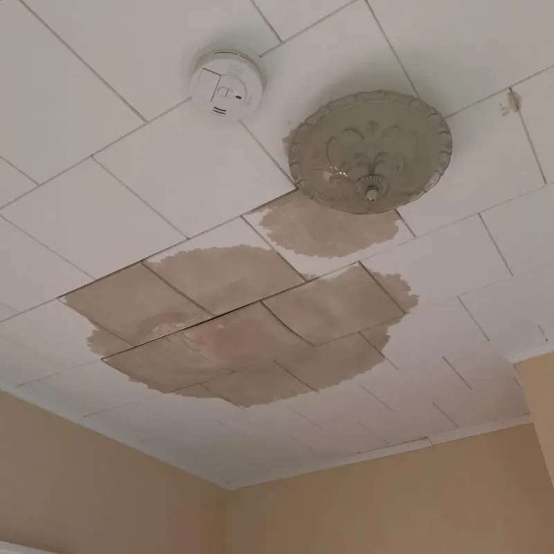 Ceiling Water Damage Repair in Union City, PA