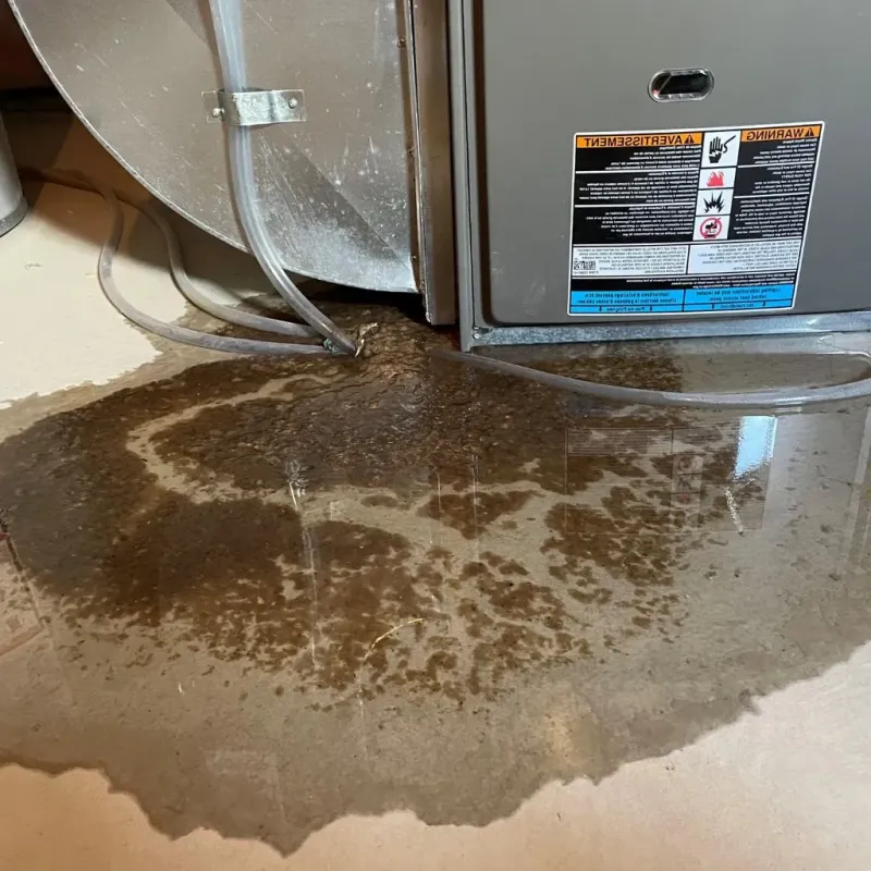 Pipe Burst and Leak Restoration in Union City, PA