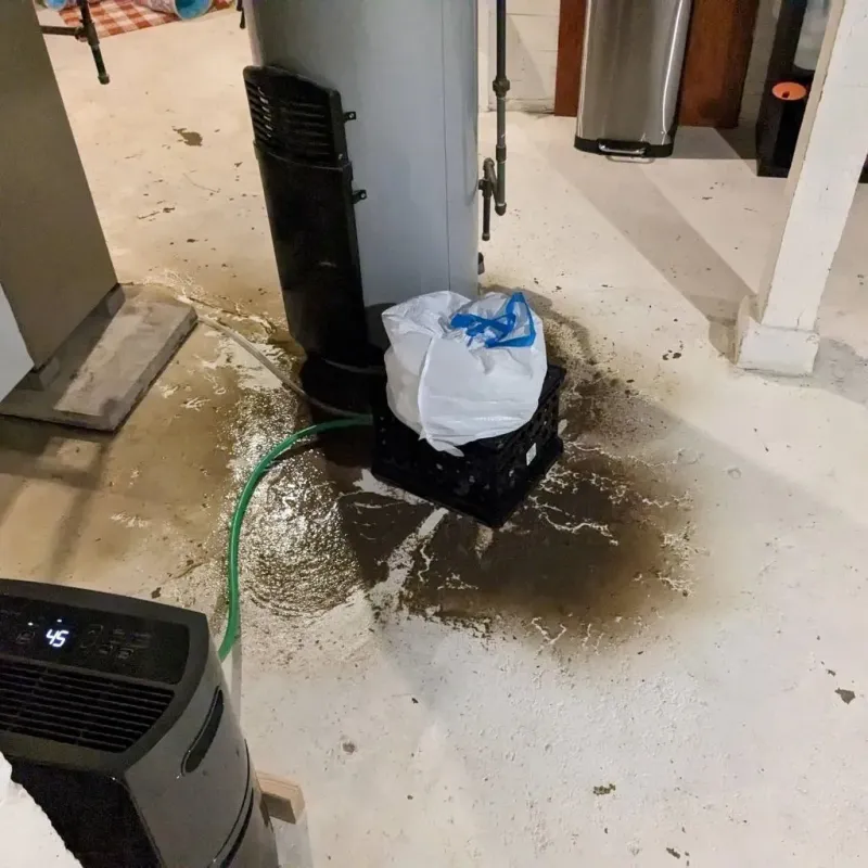 Sewage Backup Cleanup Service in Union City, PA